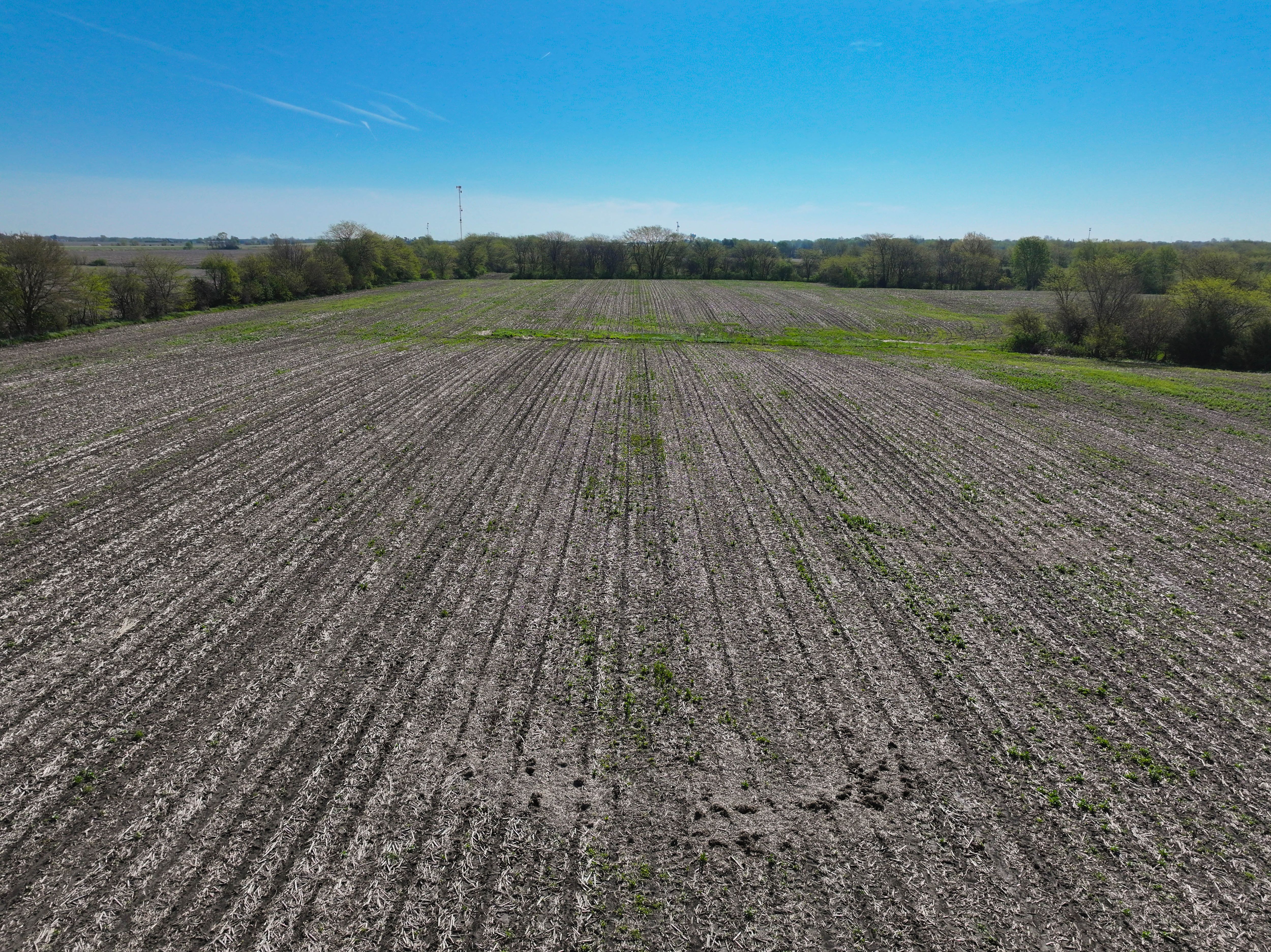 Listing Photo: Henry County Rural Building Sites-2